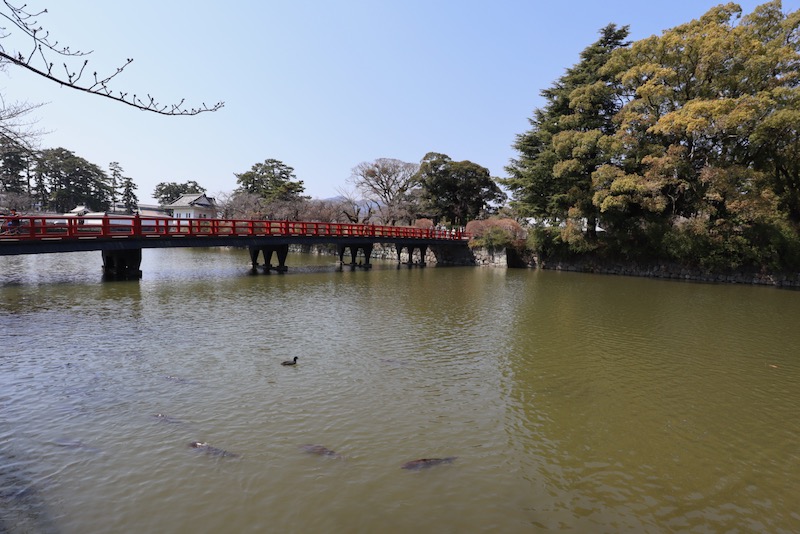 New Historical Voyage