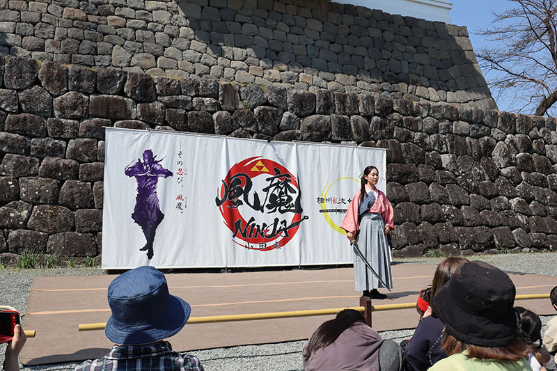 New Historical Voyage
