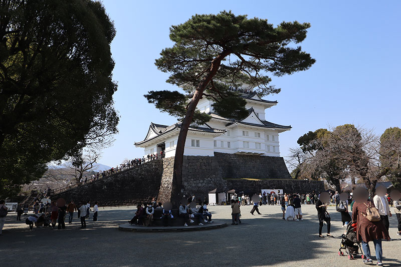 New Historical Voyage