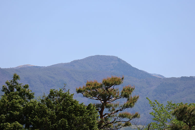 New Historical Voyage