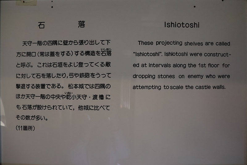 New Historical Voyage