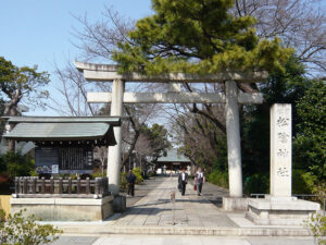 New Historical Voyage