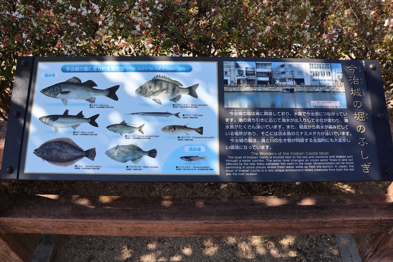 New Historical Voyage