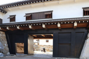 New Historical Voyage