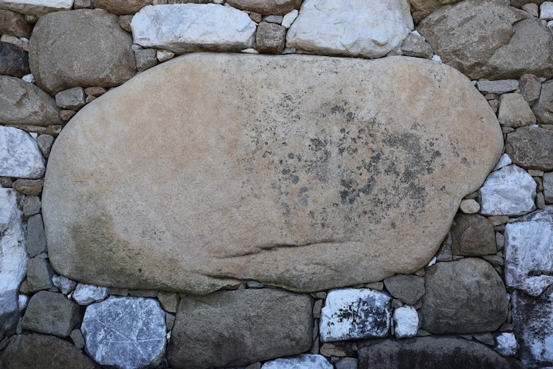 New Historical Voyage