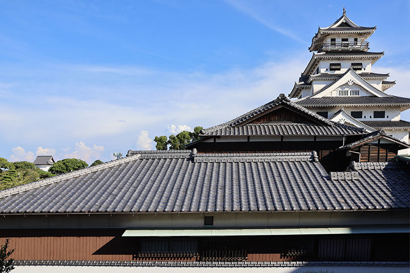 New Historical Voyage