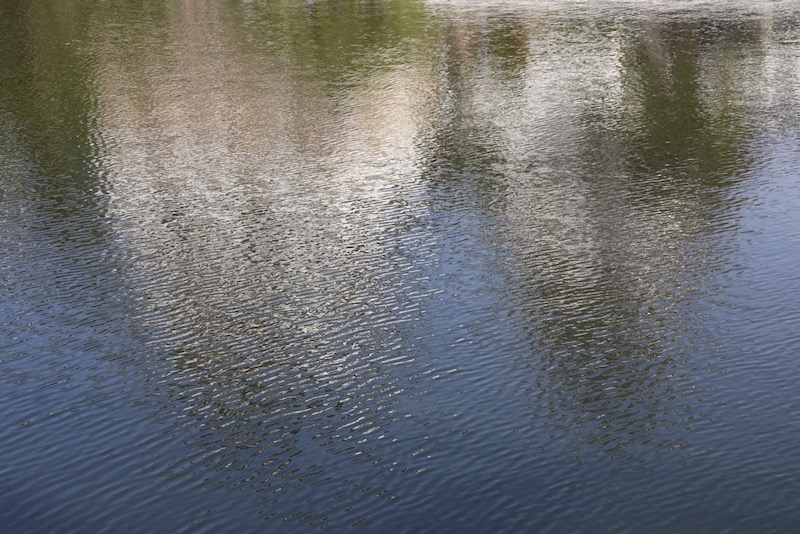 New Historical Voyage