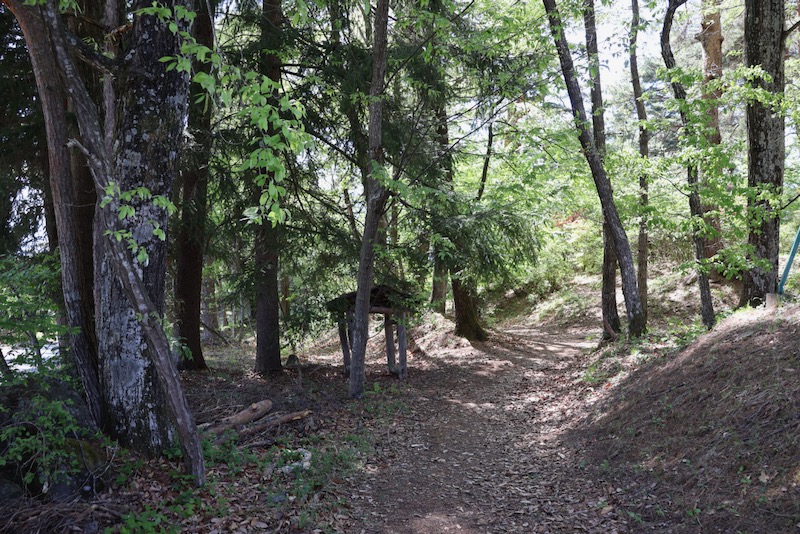 New Historical Voyage