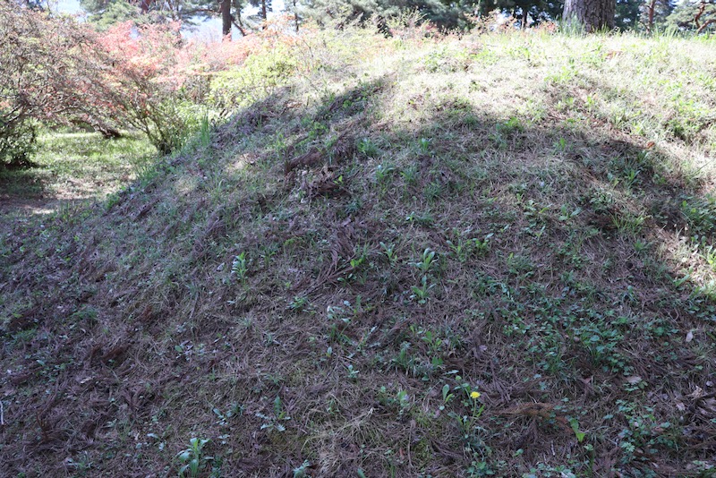 New Historical Voyage