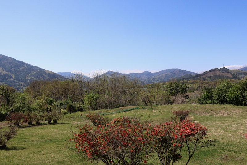 New Historical Voyage