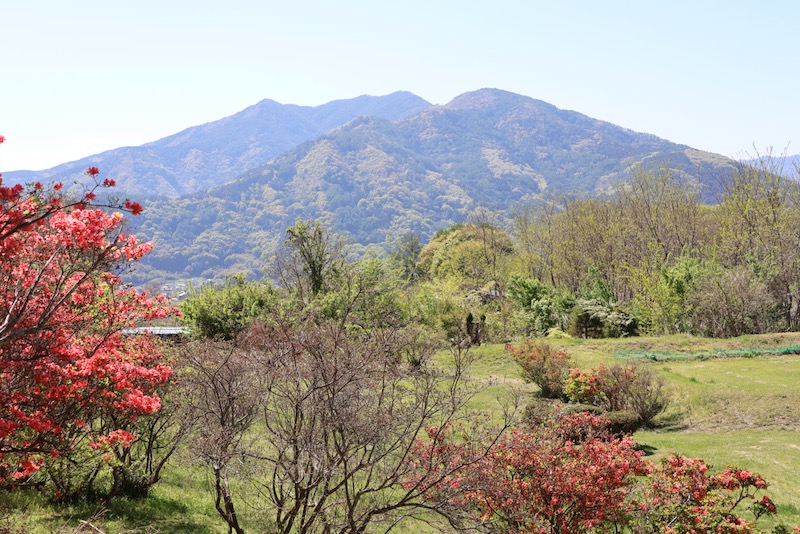 New Historical Voyage