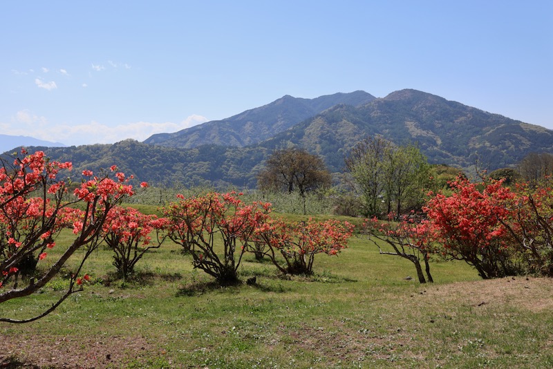 New Historical Voyage