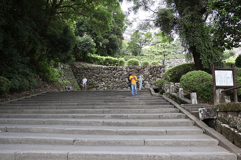 New Historical Voyage