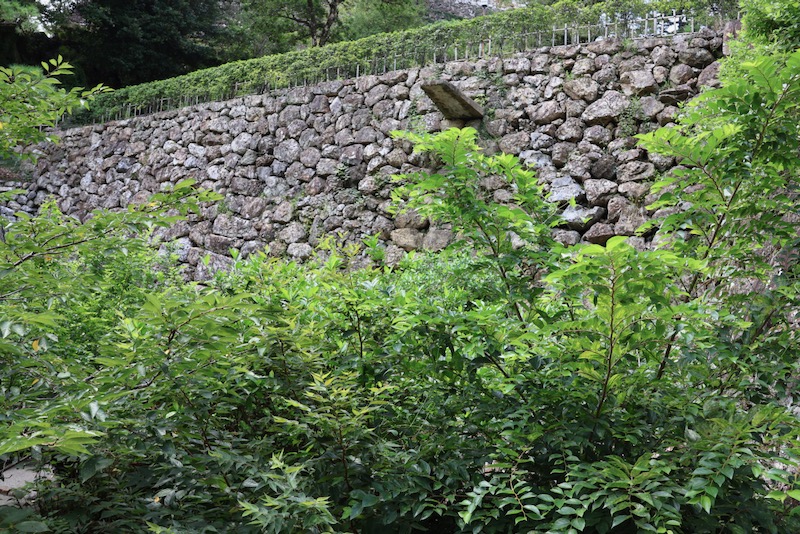 New Historical Voyage