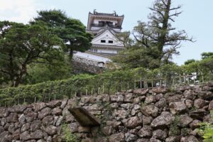 New Historical Voyage