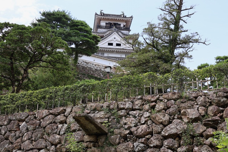 New Historical Voyage