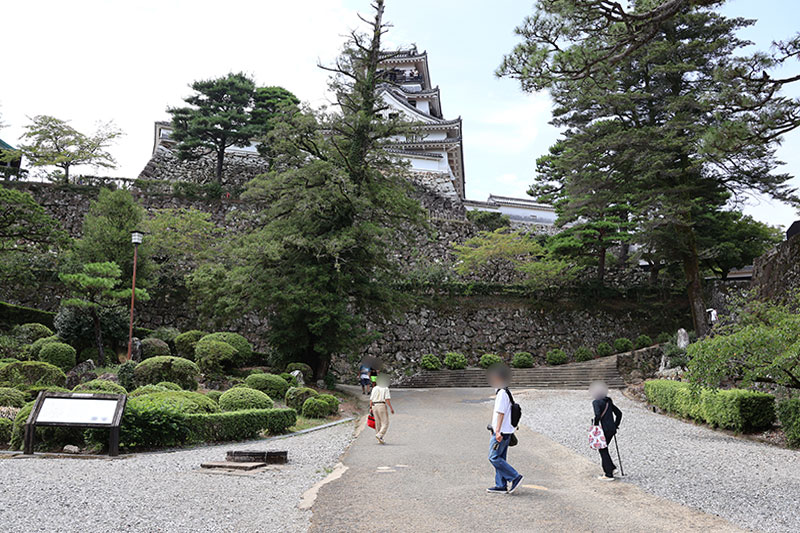 New Historical Voyage