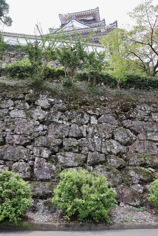 New Historical Voyage