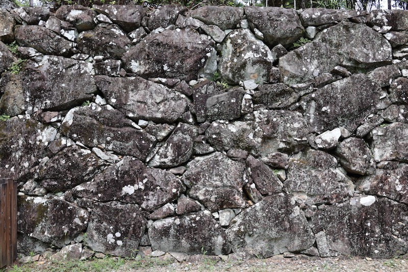 New Historical Voyage