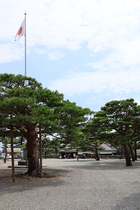 New Historical Voyage