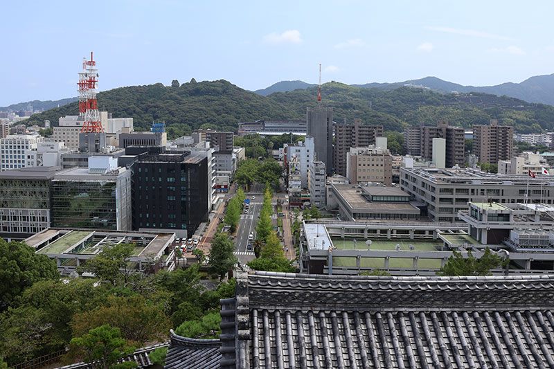 New Historical Voyage