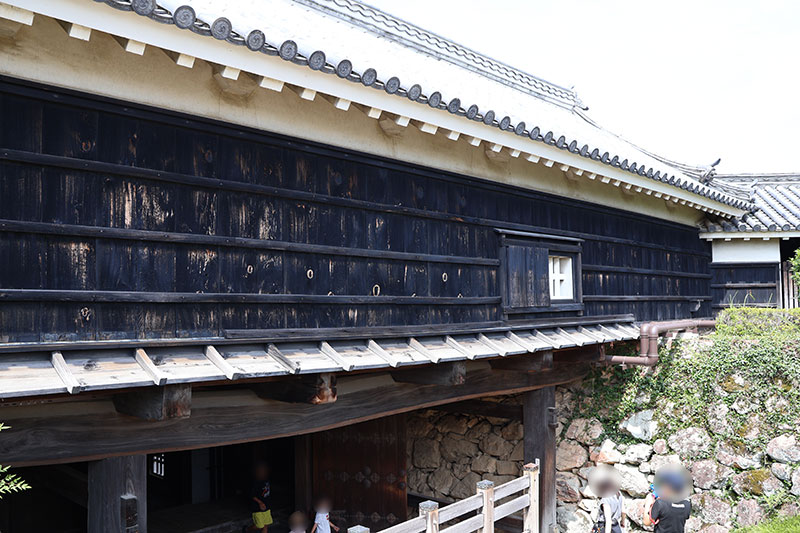 New Historical Voyage