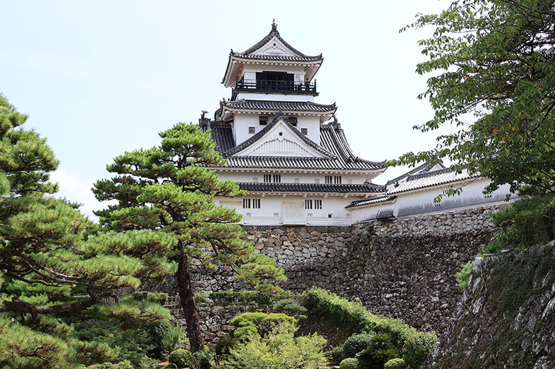 New Historical Voyage