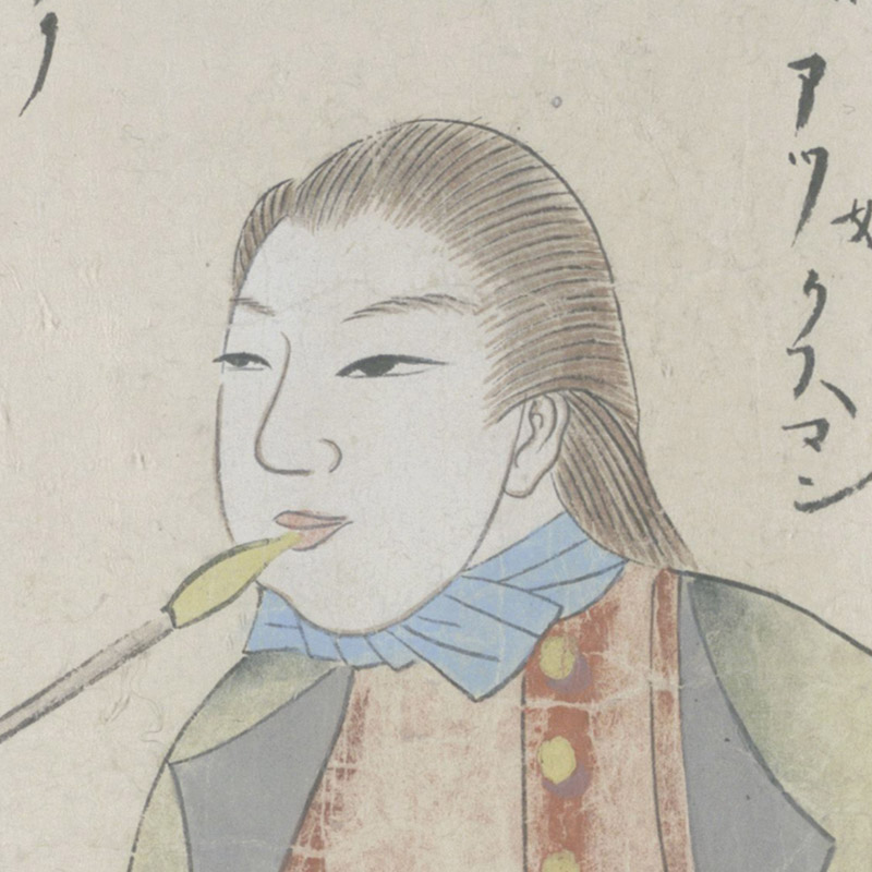 New Historical Voyage