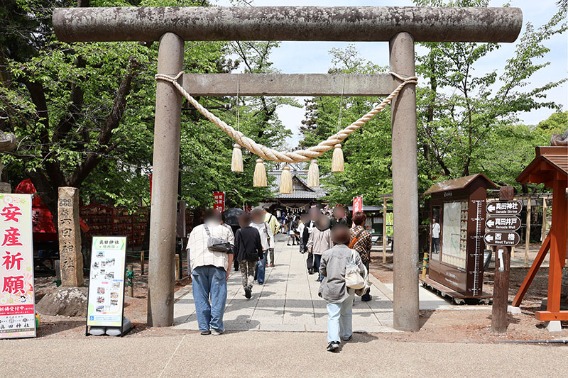 New Historical Voyage