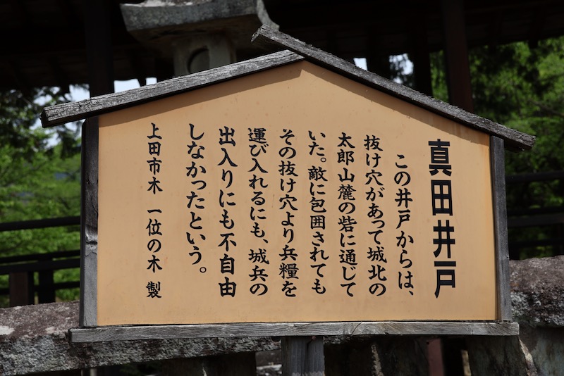 New Historical Voyage