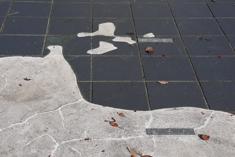 New Historical Voyage