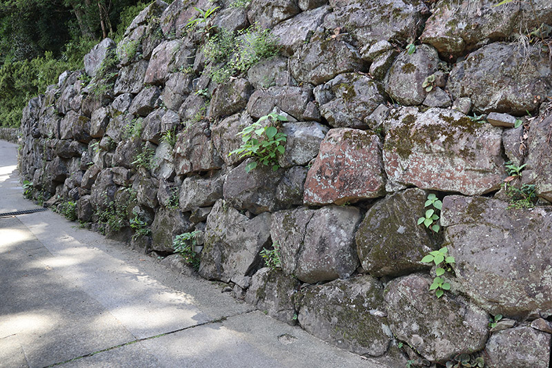 New Historical Voyage