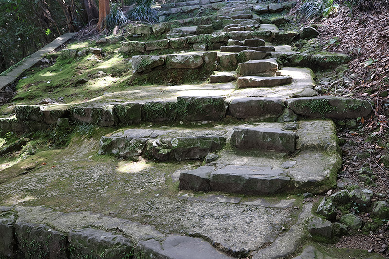 New Historical Voyage