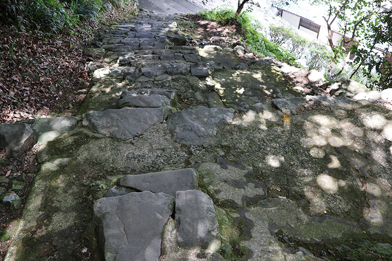 New Historical Voyage