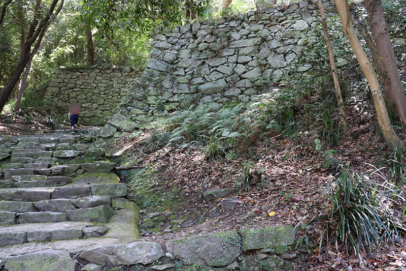 New Historical Voyage