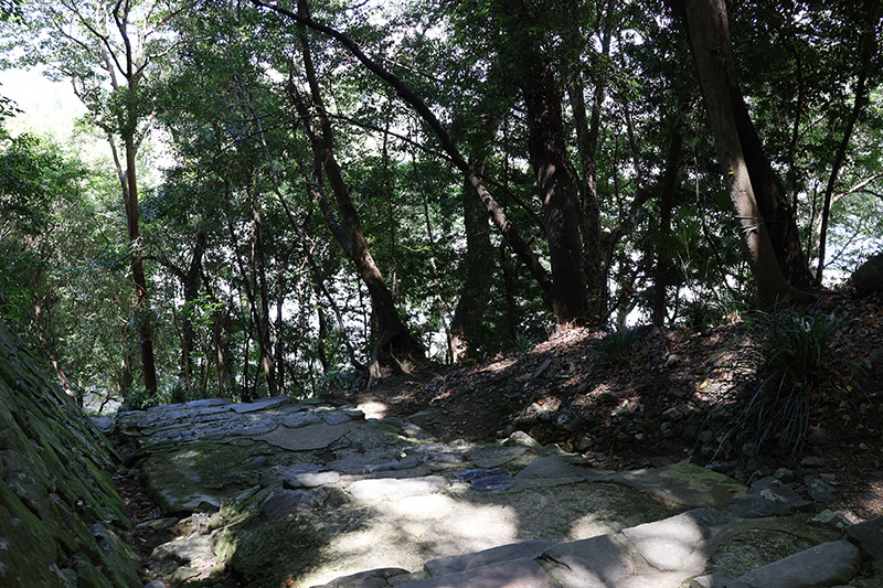 New Historical Voyage