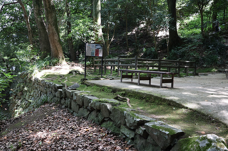 New Historical Voyage