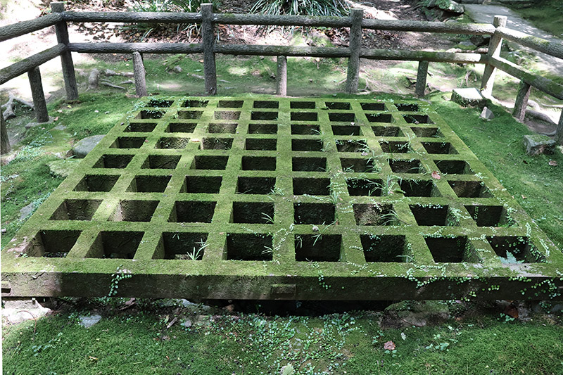 New Historical Voyage