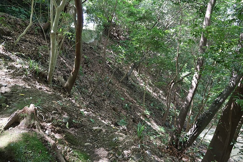 New Historical Voyage