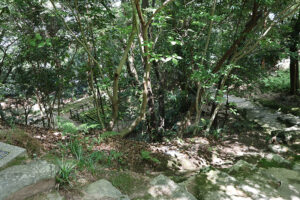 New Historical Voyage