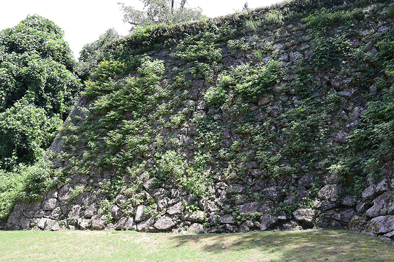 New Historical Voyage