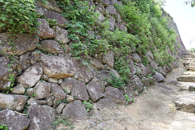 New Historical Voyage