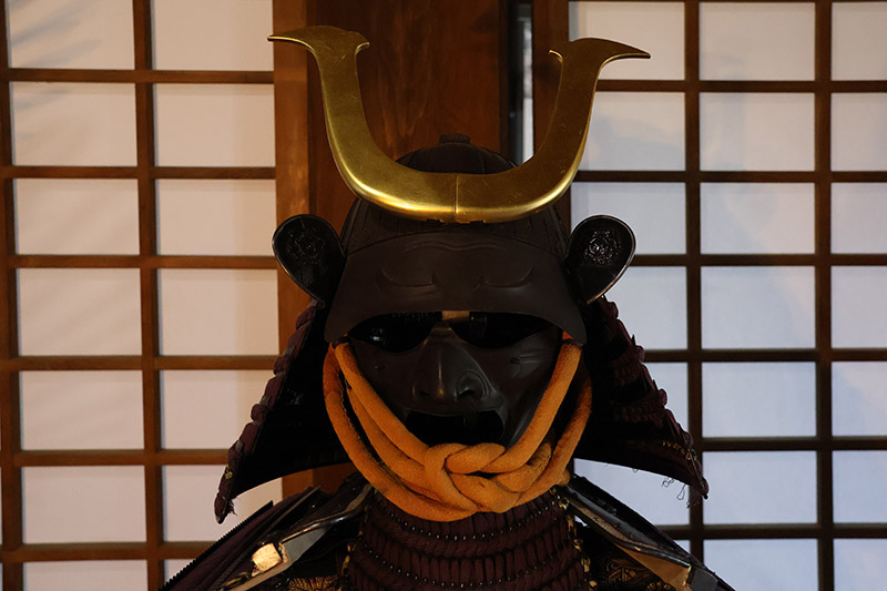 New Historical Voyage