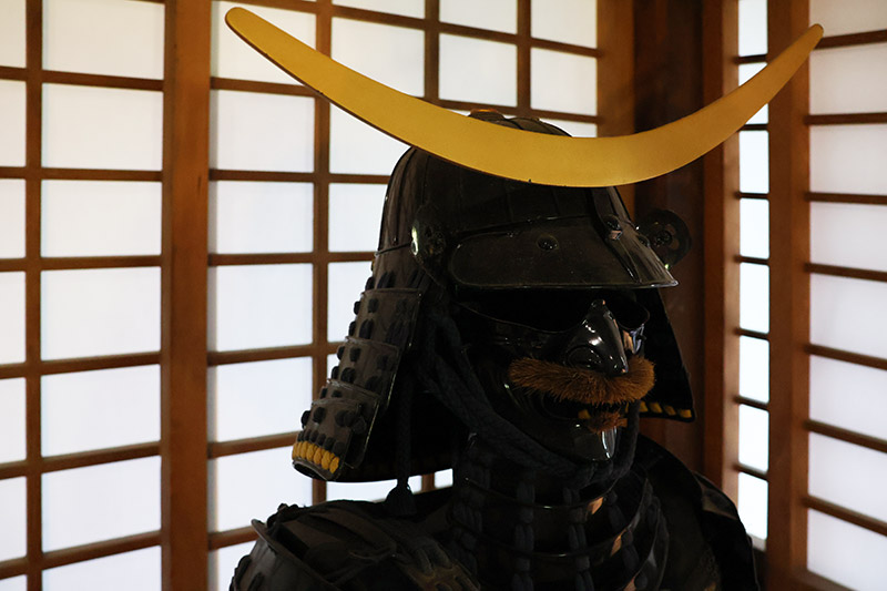 New Historical Voyage