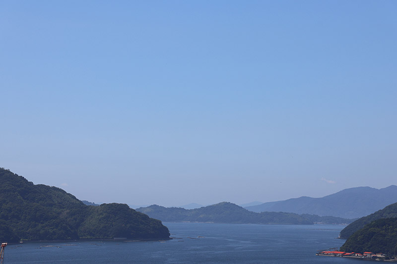 New Historical Voyage